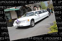 The Limo People 1087030 Image 0